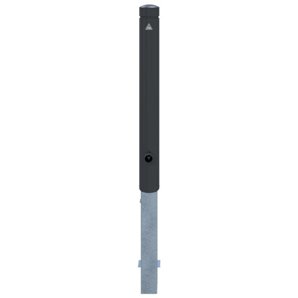 Aluminiumpoller Serie 40101B Ø 100 mm
