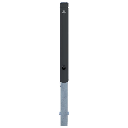 Aluminiumpoller Serie 40101B Ø 100 mm