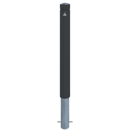 Aluminiumpoller Serie 40101B Ø 100 mm