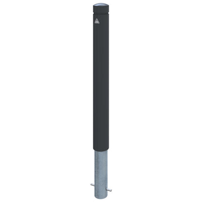 Aluminiumpoller Serie 40101B Ø 100 mm